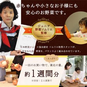 【あすつく】【セット】おまかせ 九州野菜セット...の詳細画像5