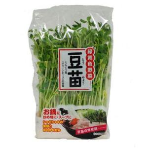 九州産　豆苗（とうみょう）　　1袋　九州の安心・安全な野菜！　【九州・福岡産】