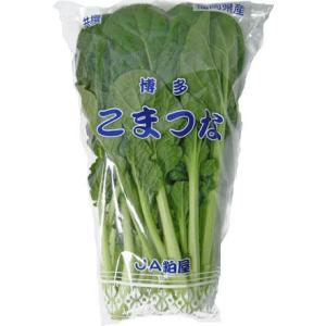 九州産　野菜　小松菜（こまつな・コマツナ）　骨を丈夫に！　１袋　 約２００ｇ　　　【長崎・福岡・九州】｜ootsuru