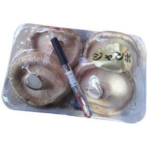 ステーキ椎茸（ジャンボしいたけ）（４枚〜８枚）１パック　大分・九州産｜ootsuru