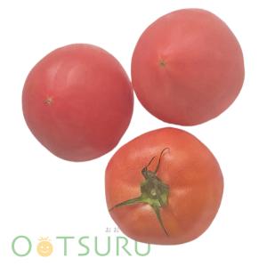 九州産　とまと（トマト）　すぐれた栄養食材！　　Ｍサイズ×３玉　九州の安心・安全な野菜！　