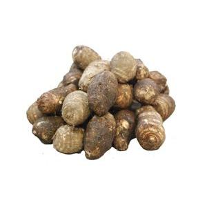 専用さといもさま 里芋 1kg 宮崎県産 さといも サトイモ 赤芽芋 セレベス 送料無料