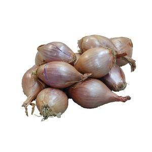 エシャロット 500g フランス料理に欠かせない！ : おおつる青果