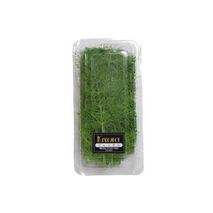 葉山椒　木の芽1キロ 愛知県豊田市旭産 山椒の葉（木の芽）20 g：愛知県産の葉山椒