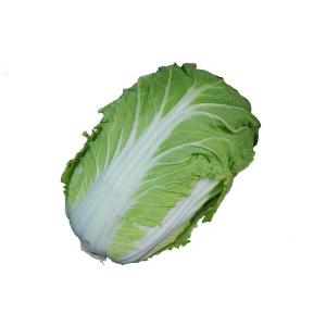白菜｜野菜｜食品 通販 - Yahoo!ショッピング