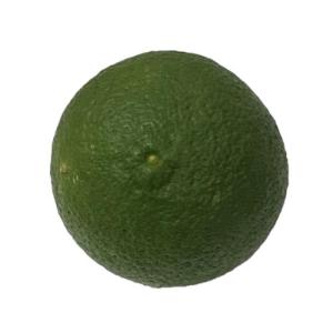 ピーマン（ぴーまん） 130g 九州産・鹿児島・宮崎・熊本産 : おおつる