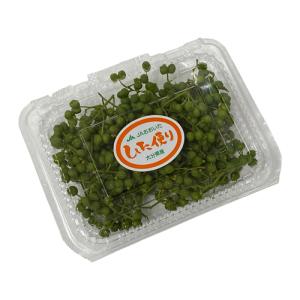 箱売り】 じゃがいも（ばれいしょ） L〜3Lサイズ 1箱（約10kg