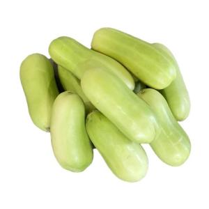 白瓜（しろうり）１袋５ｋｇ６本〜１２本　九州産