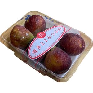 とよみつ姫（いちじく・無花果）　1パック３〜6玉入　福岡産　