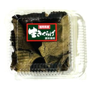 2026年 予約 マコモダケ 4kg 約32本〜48本 送料無料 山形産 国産 真菰