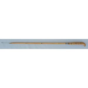 DAIWA（ダイワ） 玄むく 12尺 /Daiwa へら竿 くろむく : つり具の銭屋