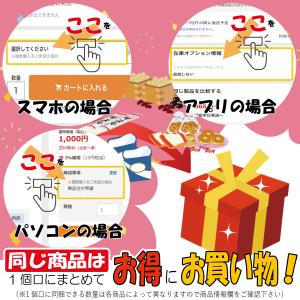 海老煎餅 えびせん リュウシャーペン 協同 鷹...の詳細画像1