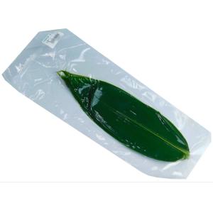 札幌グリーン　トップ笹　Ｍ　 ２０枚