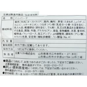 日東ベスト ジョイグルメ ハンバーグヴィアンド...の詳細画像2
