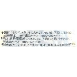 日東ベスト JGハンバーグヴィアンドN(110...の詳細画像4