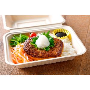 日東ベスト ジョイグルメ ハンバーグヴィアンド...の詳細画像1