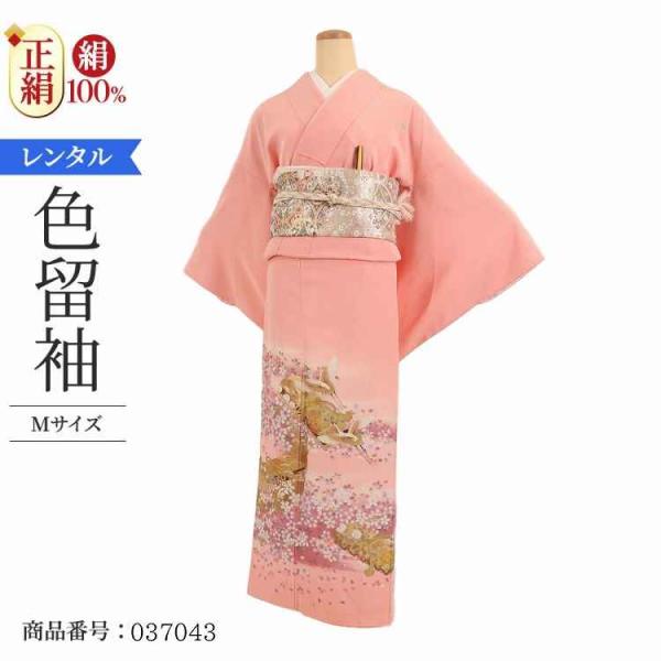 着物レンタル 色留袖 レンタル 安い 50代 40代 30代 60代 20代 安い 五つ紋 5つ紋 ...