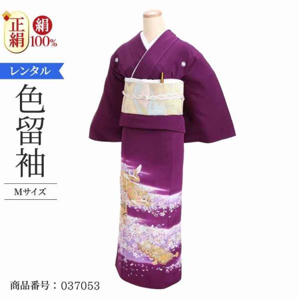 着物レンタル 色留袖 レンタル 安い 50代 40代 30代 60代 20代 安い 五つ紋 5つ紋 ...
