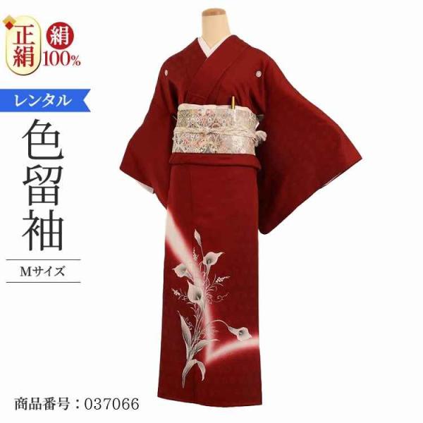 着物レンタル 色留袖 レンタル 安い 50代 40代 30代 60代 20代 安い 五つ紋 5つ紋 ...