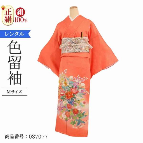 着物レンタル 色留袖 レンタル 安い 50代 40代 30代 60代 20代 安い 五つ紋 5つ紋 ...