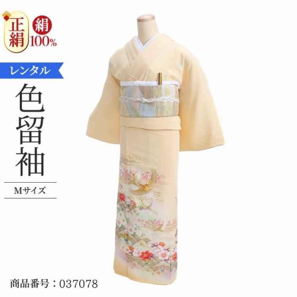 着物レンタル 色留袖 レンタル 安い 50代 40代 30代 60代 20代 安い 五つ紋 5つ紋 ...