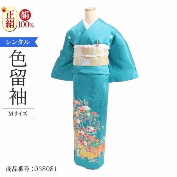 着物レンタル 色留袖 レンタル 安い 50代 40代 30代 60代 20代 安い 五つ紋 5つ紋 ...