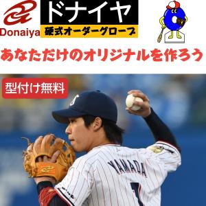 ドナイヤ 軟式オーダーグローブ 投手ピッチャー用 野球 オーダー