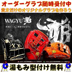 【専用】山田哲人様　半製品グラブ　オーダー　グラブレースDIY ドナイヤ ドナイヤ 硬式オーダーグローブ ステアハイド 野球