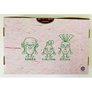 お漬物詰め合わせB 漬物 詰め合わせ プレゼン...の詳細画像3