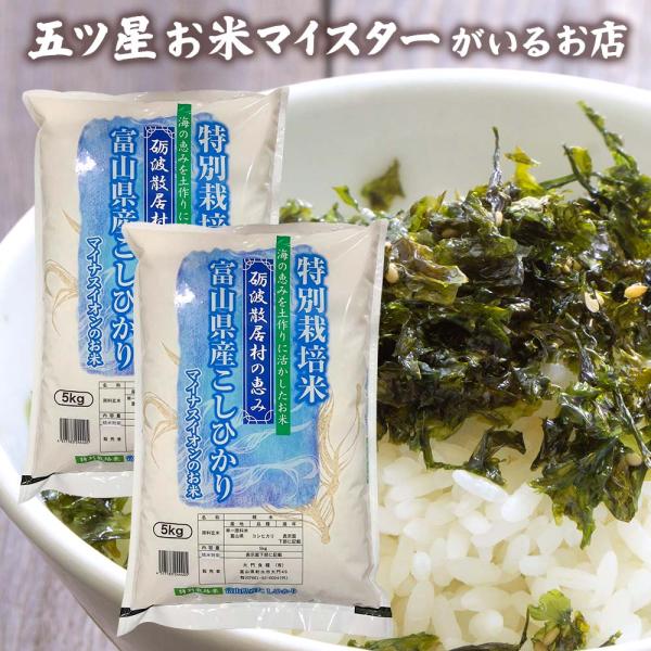 こしひかり特別栽培米 コシヒカリ 米 10kg 5kg×2袋 富山県産 令和7年産 米 令和7年 お...