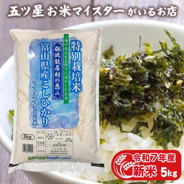 お米 ギフト 米 5kg こしひかり特別栽培米 富山県産 コシヒカリ 5キロ 令和7年産 新米 お米...