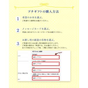 お米 ギフト 米 1つ包み(1銘柄) 2合(3...の詳細画像5