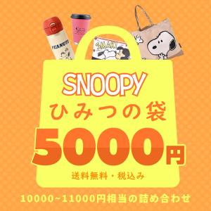 福袋 スヌーピー キャラクター ふくぶくろ ひみつの袋 ふくろ かわいい おしゃれ snoopy キャラ SNOOPY PEANUT レディース プレゼント  セット｜opabinia