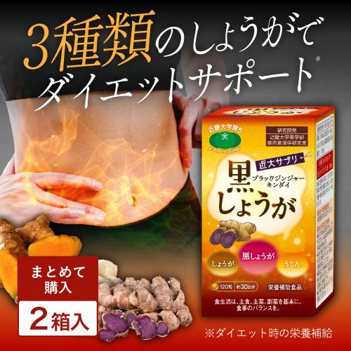2箱セット ブラックジンジャー サプリ ダイエット 30日分 近大サプリ 黒しょうが うこん 生姜 ...