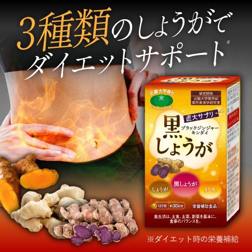 ブラックジンジャー サプリ ダイエット 30日分 近大サプリ 黒しょうが うこん 生姜 人気 おすす...