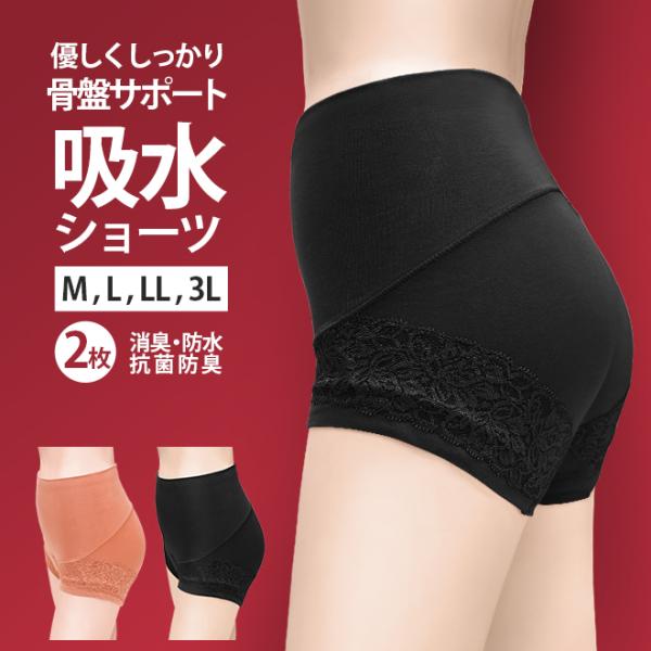吸水 消臭ショーツ 女性用 2色セット 吸水ショーツ 失禁 ショーツ レディース 軽補正 骨盤サポー...