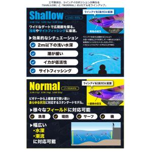 デュオ エギ政改 2.5号 ノーマル 【3個購...の詳細画像3