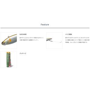 パームス エスケードバイブ EV100 S1....の詳細画像2