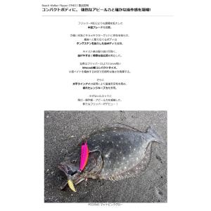 DUO デュオ ビーチウォーカー フリッパー ...の詳細画像2