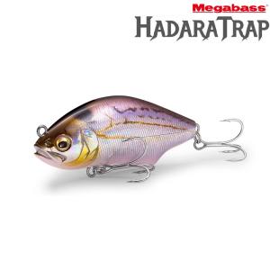 メガバス セット ハダラトラップ カゲロウ ゴーストキャンディ アカキン メガバス セット ハダラトラップ カゲロウ アカキン ゴースト