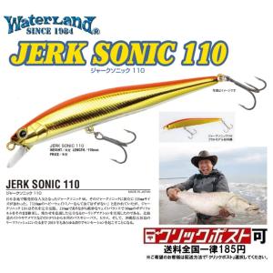 WaterLand（ウォーターランド） ジャークソニック 110F (メール便可