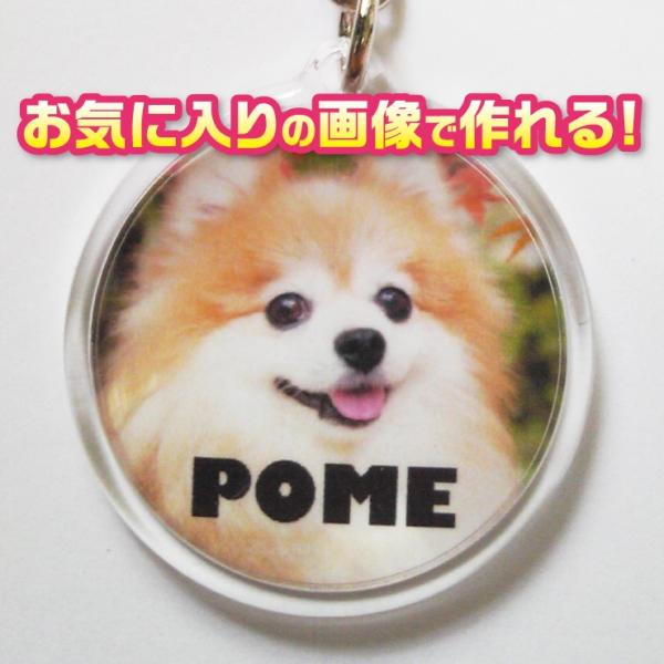 キーホルダー　オーダーメイド/オリジナル　犬　猫　ペット　写真/名前入り　【記念日等のプレゼントにも...
