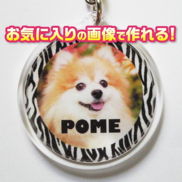 オーダーメイド/オリジナル　キーホルダー　写真/名前入り　犬　猫　ペット　【記念日等のプレゼントにも...