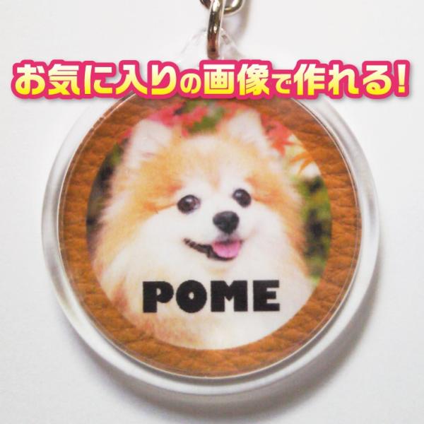 写真/名前入り　キーホルダー　犬　猫　ペット　オーダーメイド/オリジナル　【記念日等のプレゼントにも...