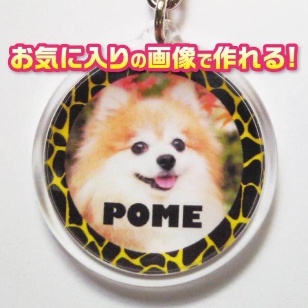 写真/名前入り　オーダーメイド/オリジナル　キーホルダー　犬　猫　ペット　【記念日等のプレゼントにも...