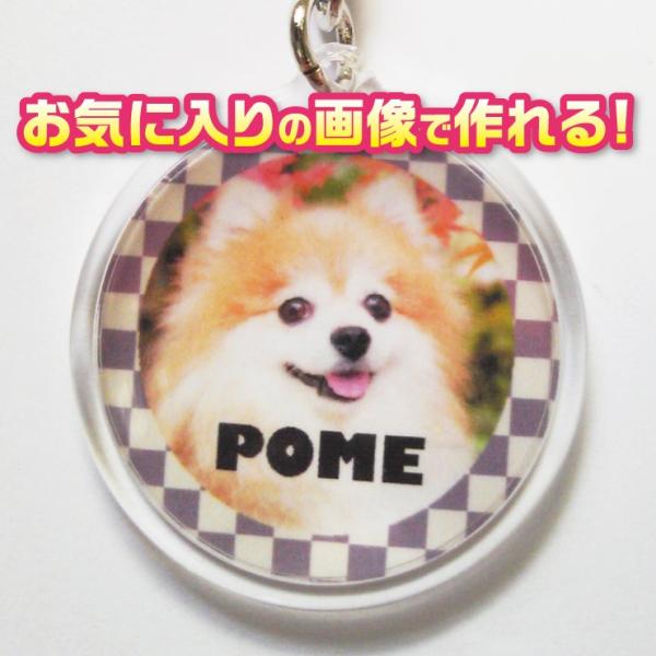 写真/名前入り　オーダーメイド/オリジナル　犬　猫　ペット　キーホルダー　【記念日等のプレゼントにも...