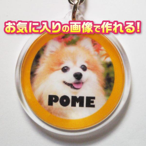 オーダーメイド/オリジナル　犬　猫　ペット　キーホルダー　写真/名前入り　【記念日等のプレゼントにも...