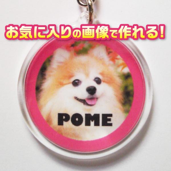 キーホルダー　写真/名前入り　犬　猫　ペット　オーダーメイド/オリジナル　【記念日等のプレゼントにも...