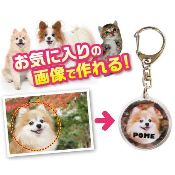 キーホルダー　犬　猫　ペット　写真/名前入り　オーダーメイド/オリジナル　【記念日等のプレゼントにも...