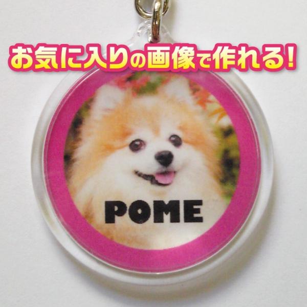 犬　猫　ペット　キーホルダー　写真/名前入り　オリジナル/オーダーメイド　【記念日等のプレゼントにも...